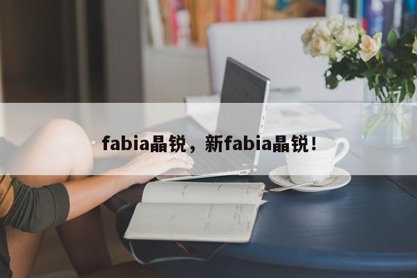 fabia晶锐，新fabia晶锐！