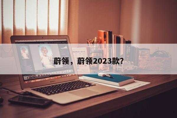 蔚领，蔚领2023款？