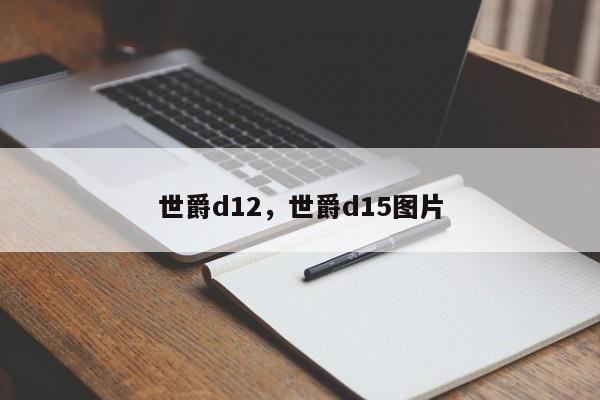 世爵d12，世爵d15图片