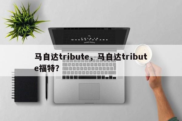 马自达tribute，马自达tribute福特？