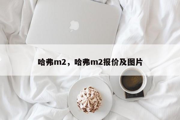 哈弗m2，哈弗m2报价及图片